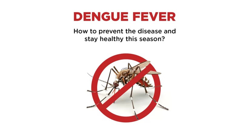 This Multi Insect Killer is Your Ultimate Defense Against Dengue