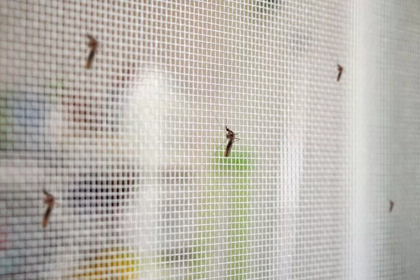 Target Multi-Insect Killer: An Effective Solution for Home Insect Control