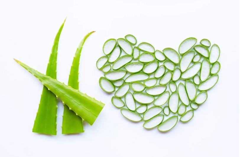 Transform Your Hair Care Routine with Aloe Vera and Natural Extracts