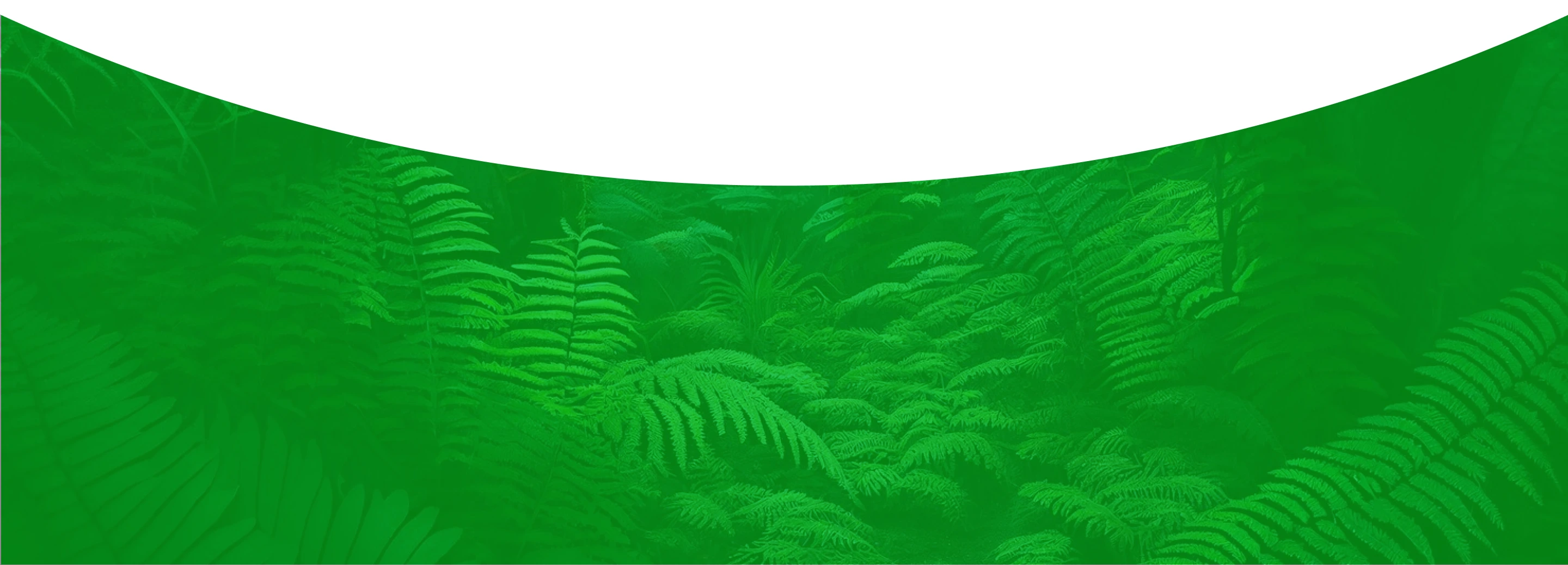 Green life great life