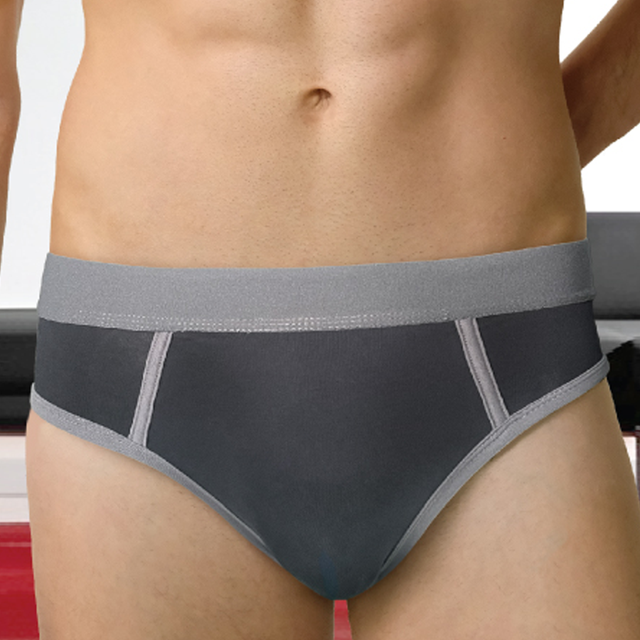 Alfa-1 Bikini Brief Grey